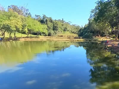 Pesqueiro Alta Floresta